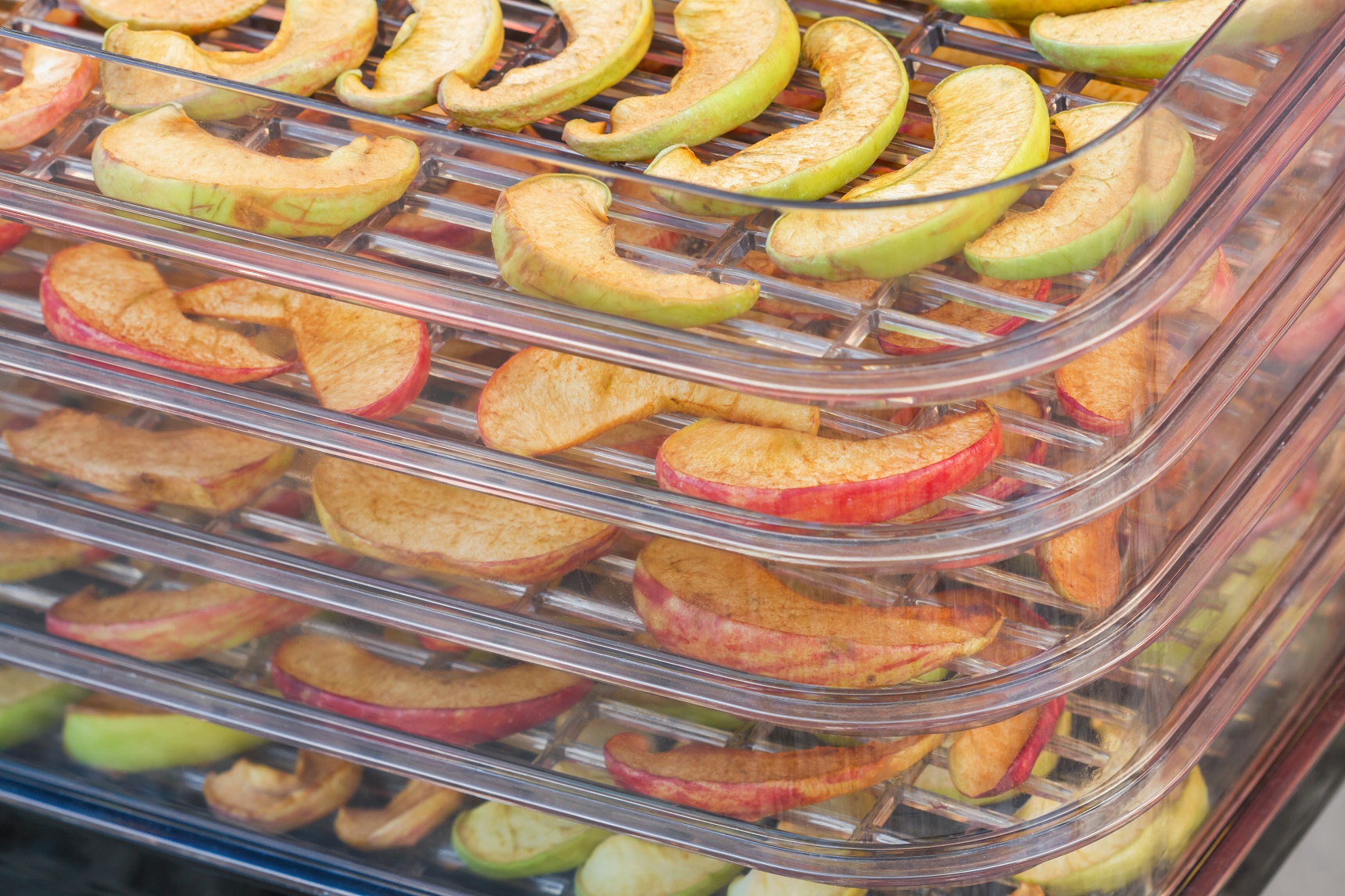 7 Best Food Dehydrators of 2023 {Top Favorite Picks!} SimpleGreenMoms